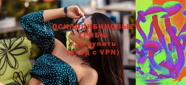 мдпв Семёнов