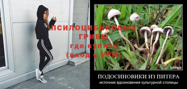 мдпв Семёнов