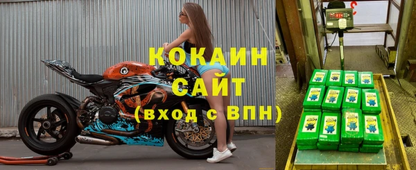 мдпв Семёнов