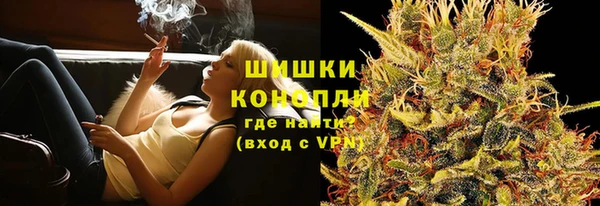мдпв Семёнов