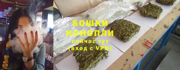 мдпв Семёнов