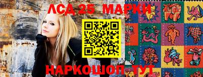 прущие крисы Кандалакша